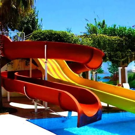 Orange Paradise