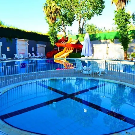 Orange Paradise 锡德