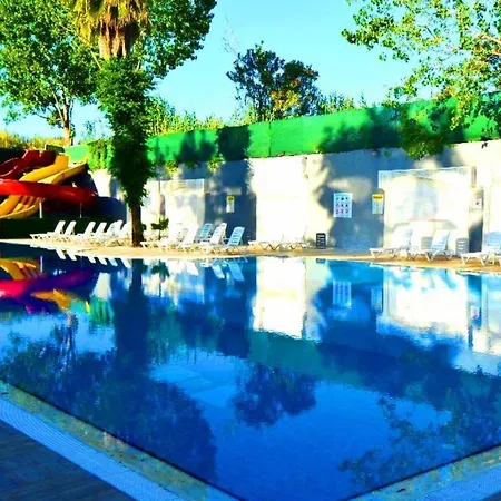 Orange Paradise