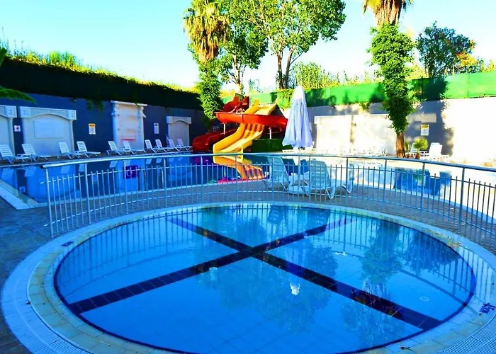 Orange Paradise Side